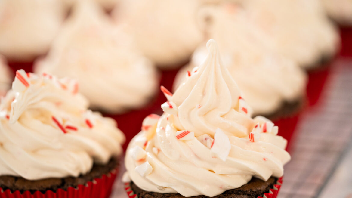 Peppermint Mocha Cupcake