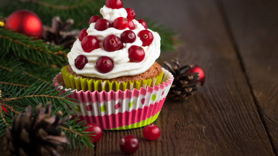 Cranberry Cupcake