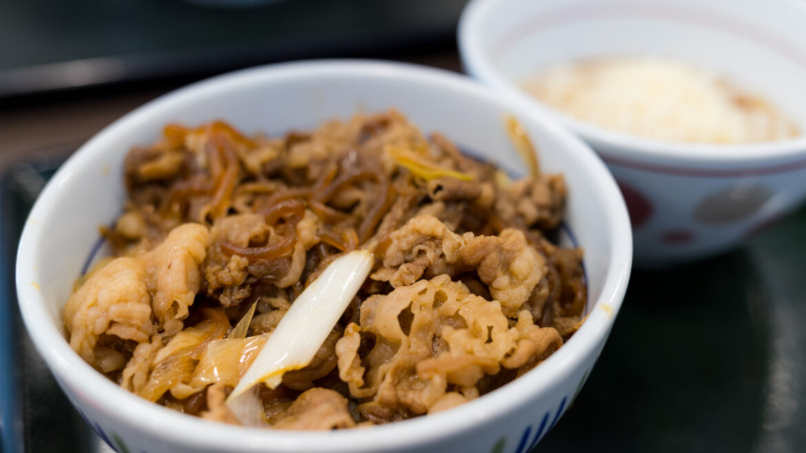 Japanese Gyudon