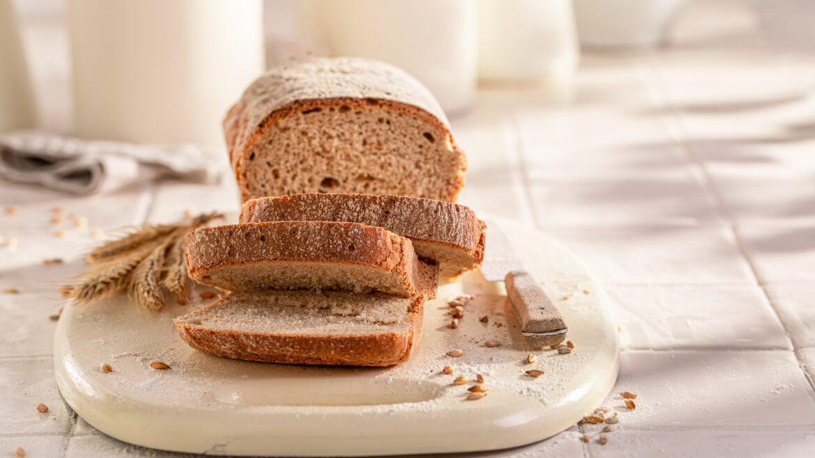 whole wheat bread