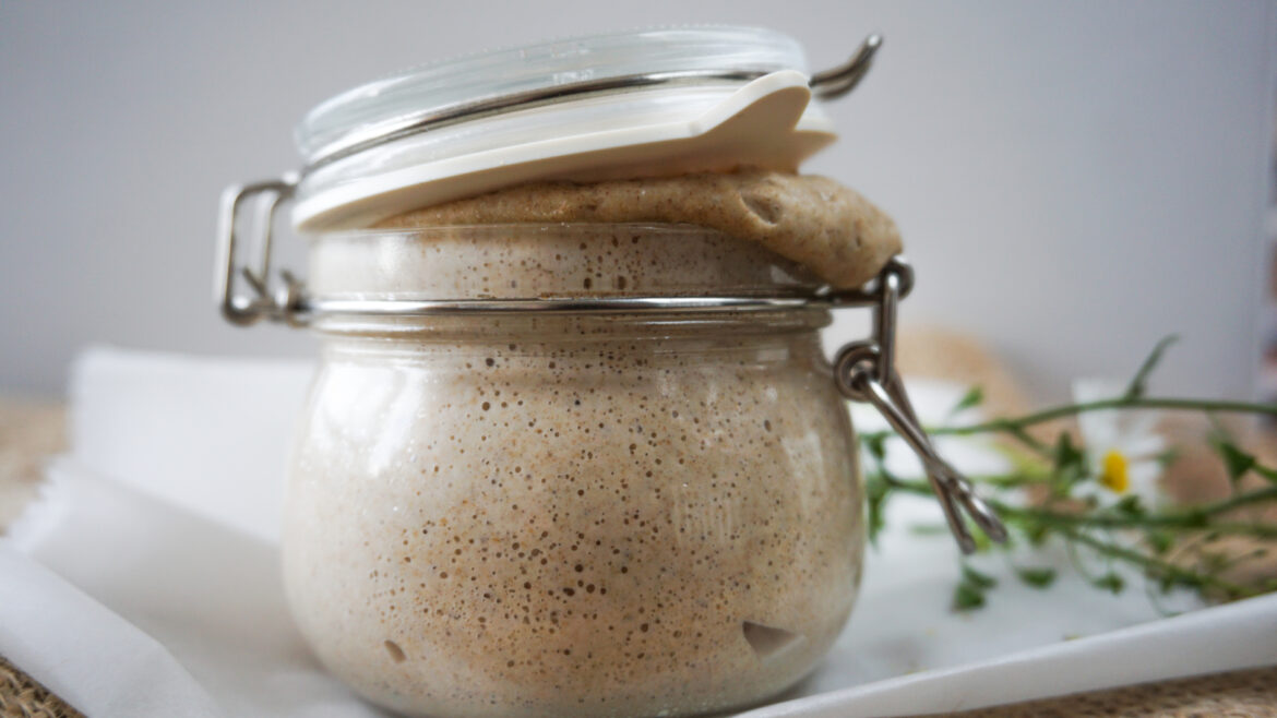 Sourdough Starter