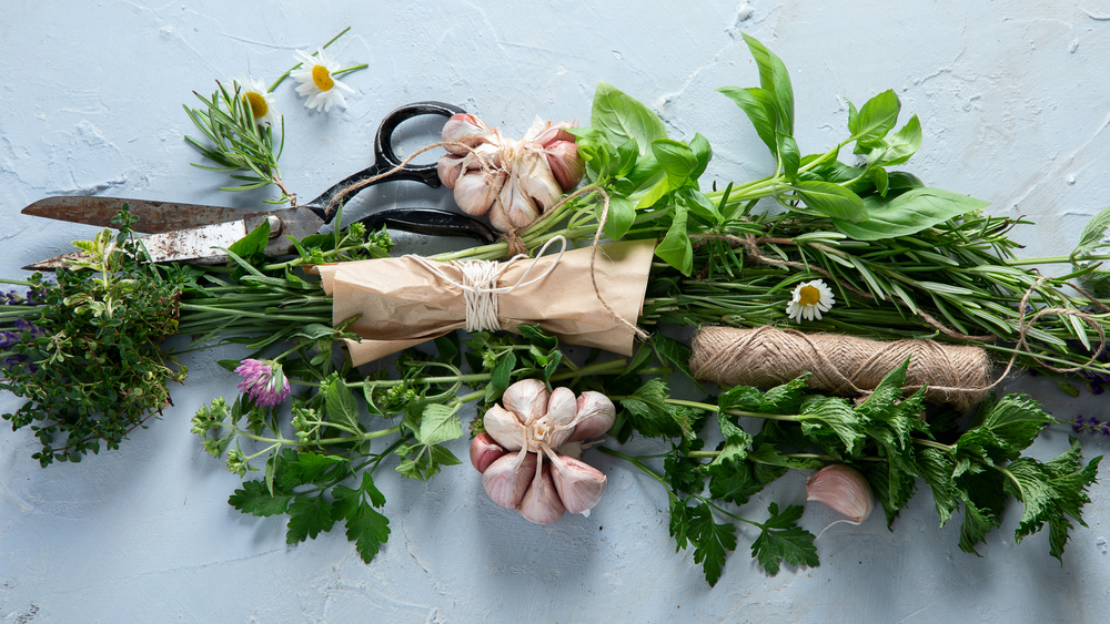 Store Herbs Like Fresh Flowers